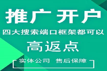 某某SEM服务公司成功案例：从数据出发的营销策略
